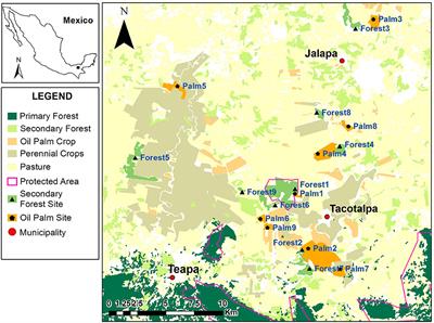 Mammal Diversity in Oil Palm Plantations and Forest Fragments in a Highly Modified Landscape in Southern Mexico